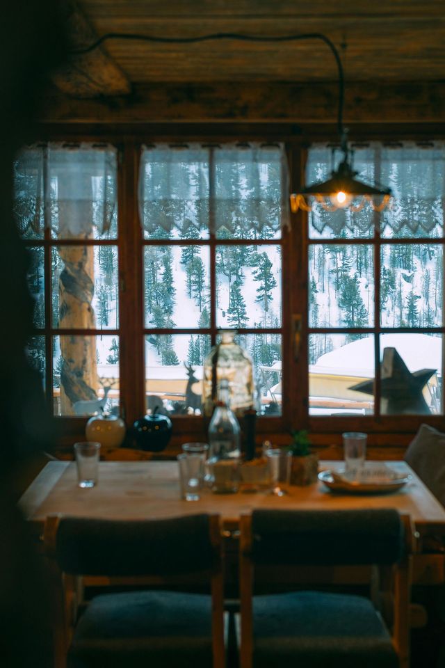 timber windows woodland